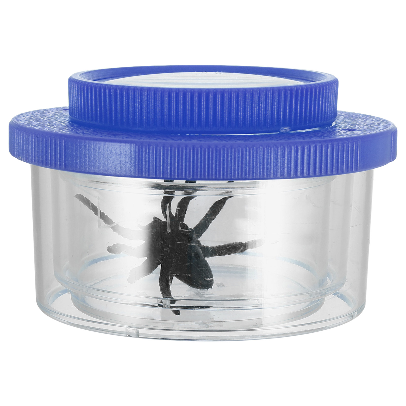 Dreiteiliges Kinder-Insektenbe – Science Kit Bewertung und Preis