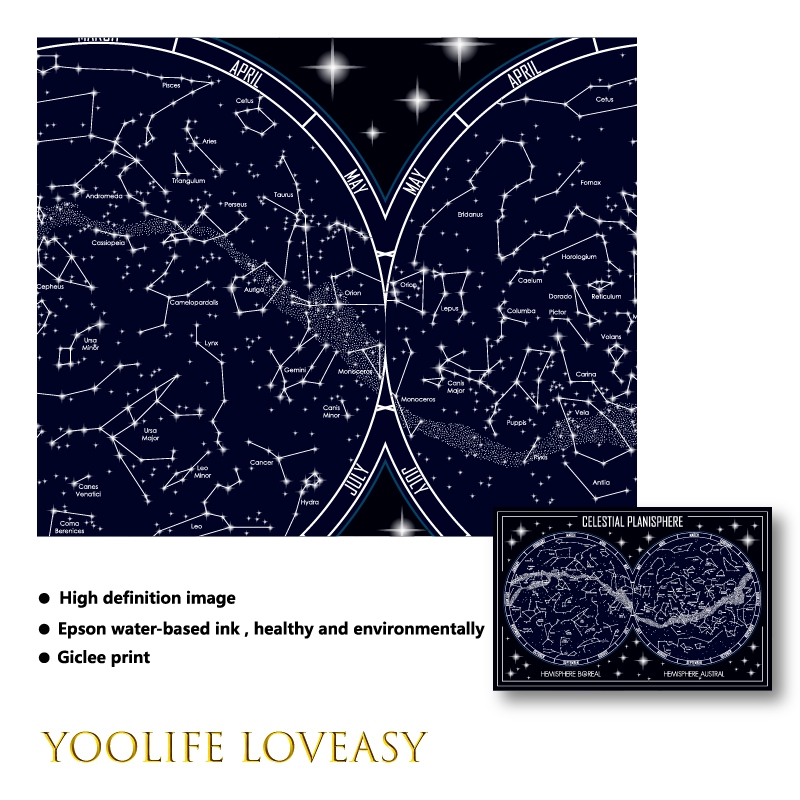 Himmlische Planisphäre Karte L – Star Map Poster Bewertung und Preis